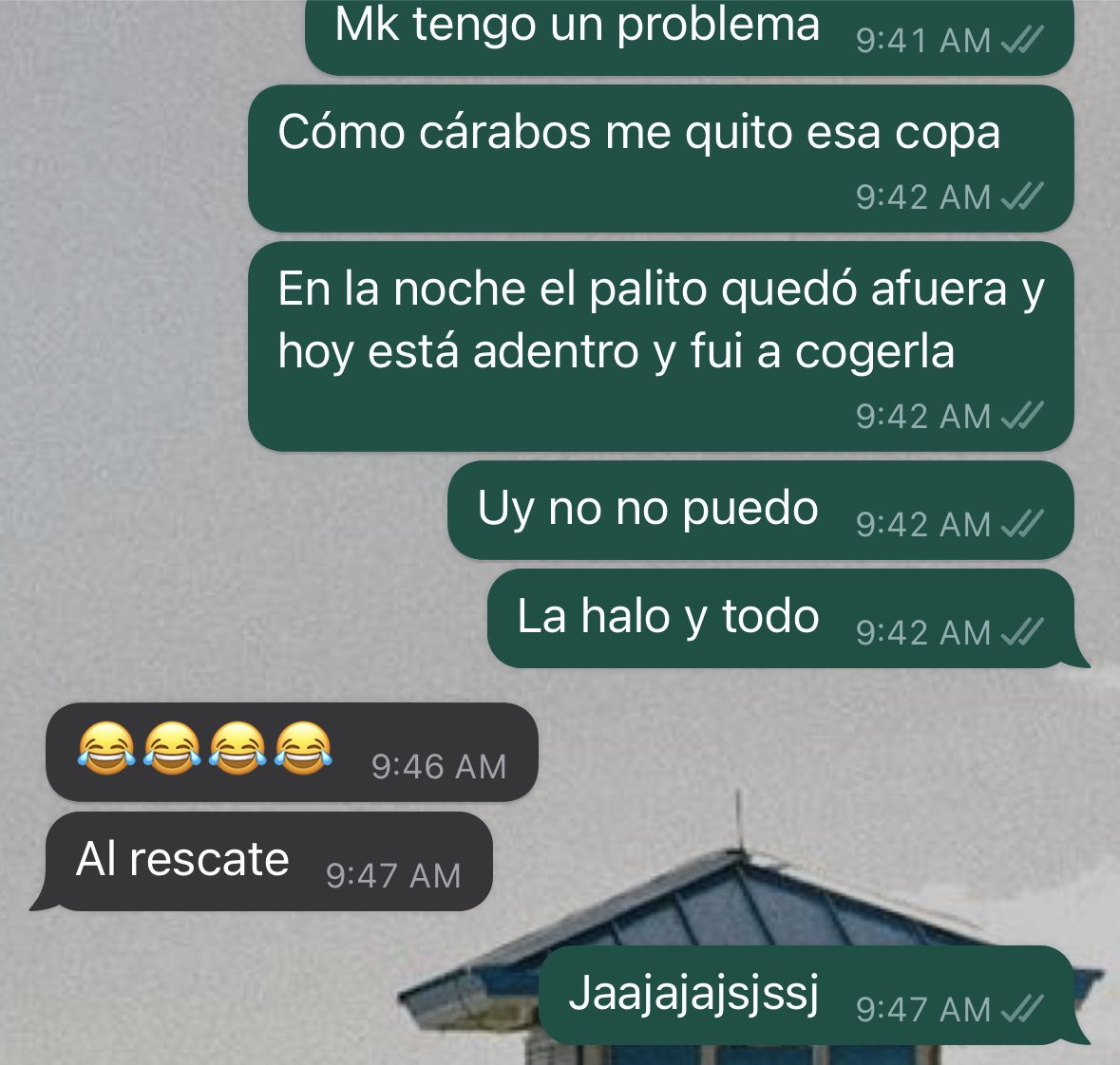 conlatrivi's tweet photo. Yo por andar pensando en ayudar al medio ambiente, compré la@copa menstrual y al intentar sacármela no pude y entré en pánico. Amiga al rescate @XiomyGuerrero4 https://t.co/ZRwBk1MnaK