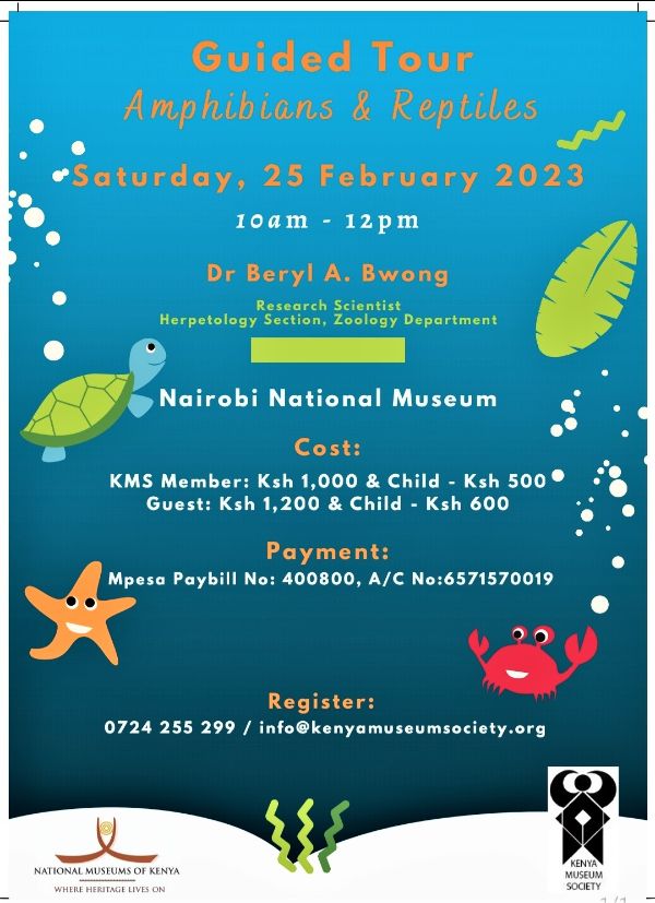 MuseumSociety's tweet photo. #KnowYourMuseum
Behind the Scenes Guided Tour โ Herpetology Section: Amphibians & Reptiles - Sat, 25 Feb, Nairobi Museum - https://t.co/xSpkeobhfq https://t.co/p78y0QT0if