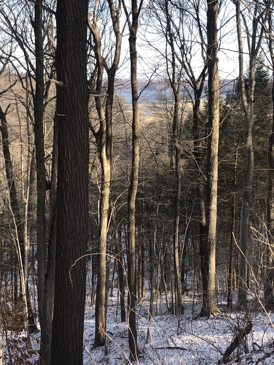 JimHowe24's tweet photo. Winter hike over the river and through the woods at #TryonPark, a unit of โฆ@MC21Parksโฉ. https://t.co/3TfYEKONOr