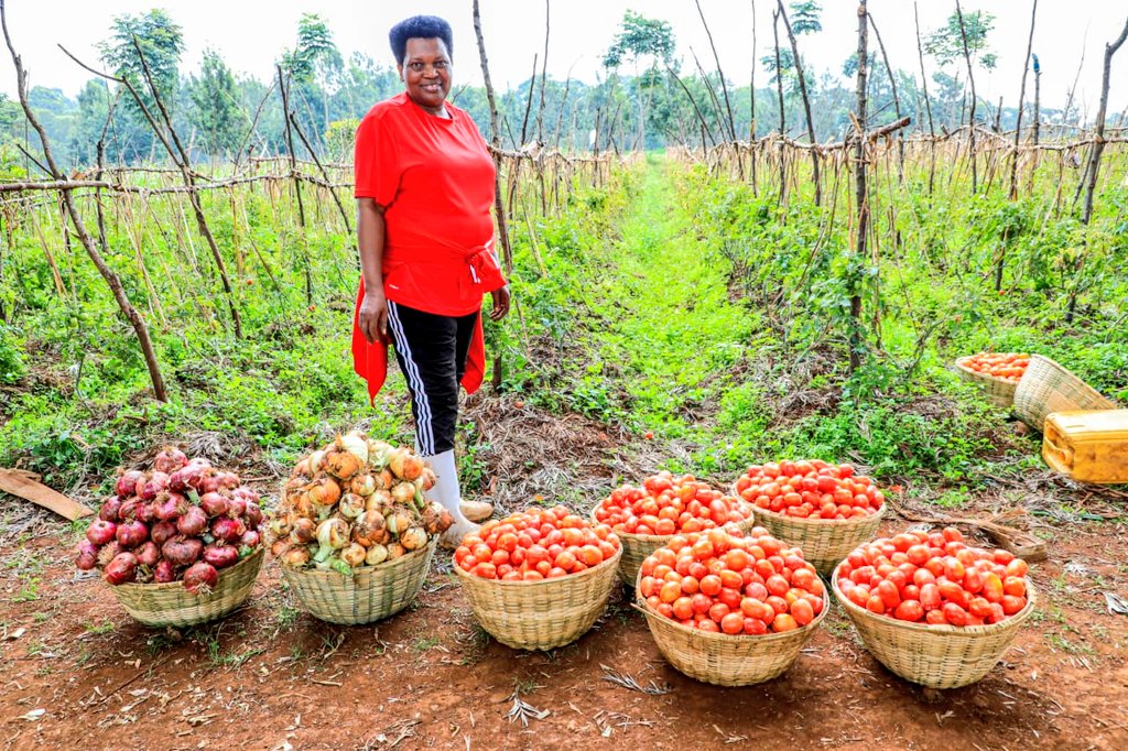 Denise B. Nkurunziza tweet media