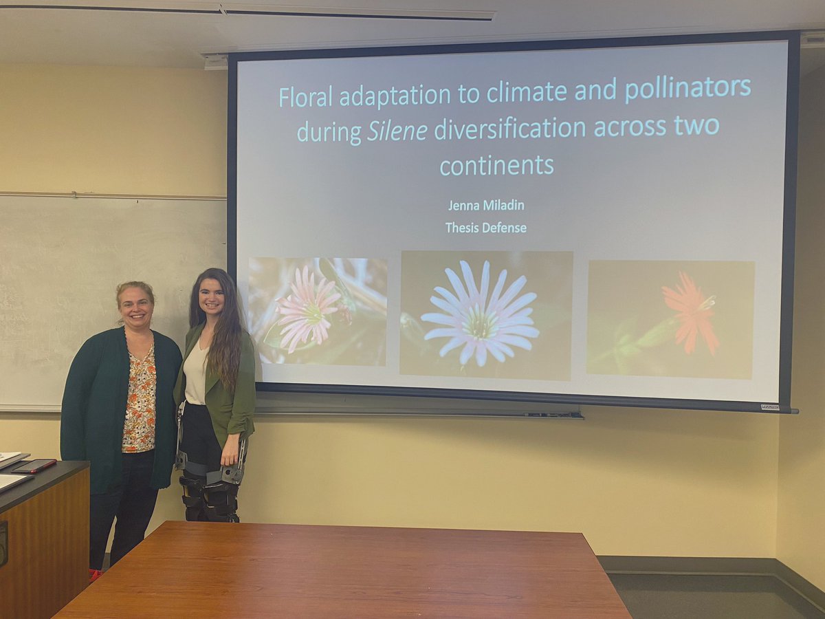 Very excited to say I defended my masters thesis yesterday! This project has been the culmination of the past 6 years as an undergrad and grad student- biggest thank you to my advisor Dr. Janet Steven @jcsplants for everything. What an incredible time it has been!🌸🧬🌱🐝