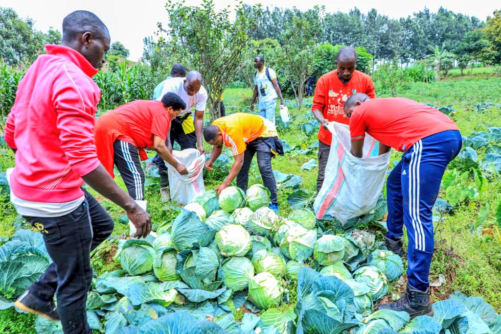 En ce jour de récolte, notre famille remercie le Tout-Puissant qui ne cesse de donner la rosée du ciel et de rendre la terre fertile pour qu’elle produise la nouriture nécessaire,nous nous inclinons devant sa gloire et son immense bonté et nous le rendons grâce pour cette récolte