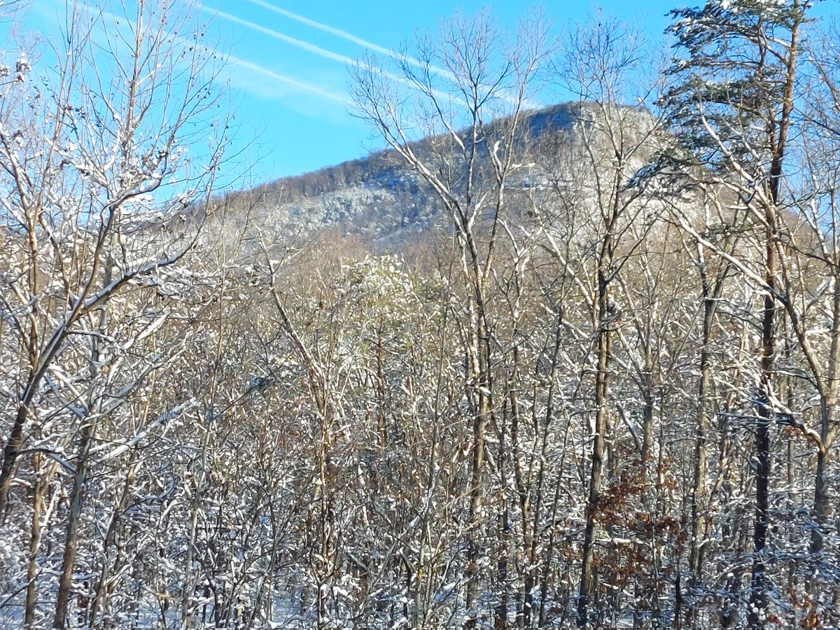 JMDS51's tweet photo. #haikufeels, #HaikuChallenge

#terrific, #quillet

The trees and sky are
Terrific company while
I'm at my quillet https://t.co/urv1zoPmNK
