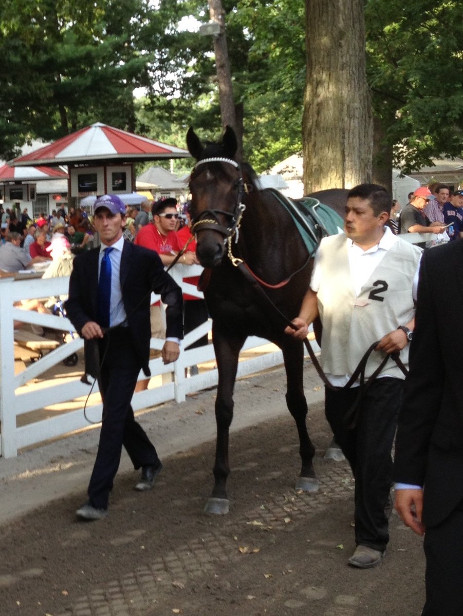 TurfHistoryTime's tweet photo. Royal Delta memories in honor of the queen mare, #RoyalDelta Stakes race runs today at GP ๐๐๐ช๐ https://t.co/epd6U1qnsh