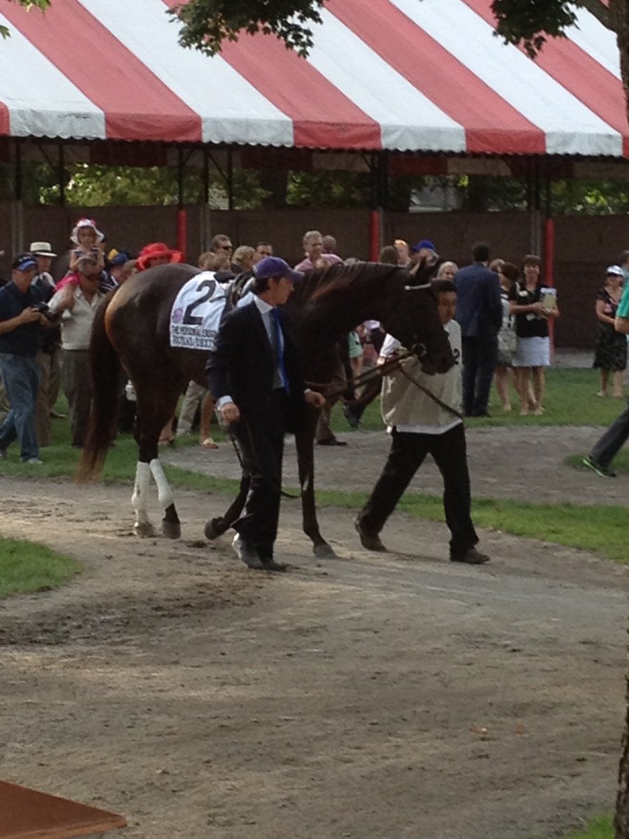 TurfHistoryTime's tweet photo. Royal Delta memories in honor of the queen mare, #RoyalDelta Stakes race runs today at GP ๐๐๐ช๐ https://t.co/epd6U1qnsh