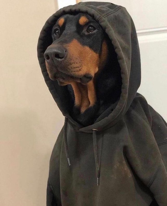 DRIP (@dript3r) on Twitter photo 