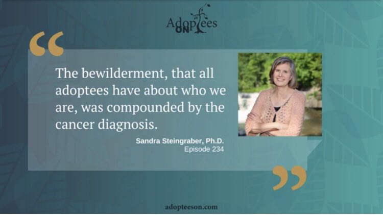 Dr. Sandra Steingraber 🏳️‍🌈 tweet media