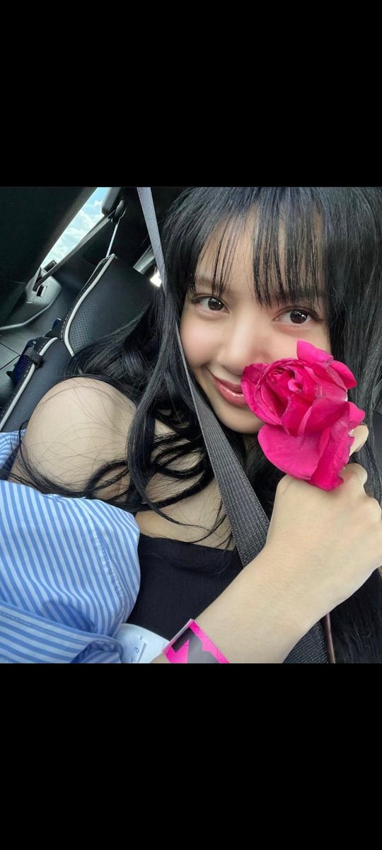 Rose for cute my cute friends 🥰