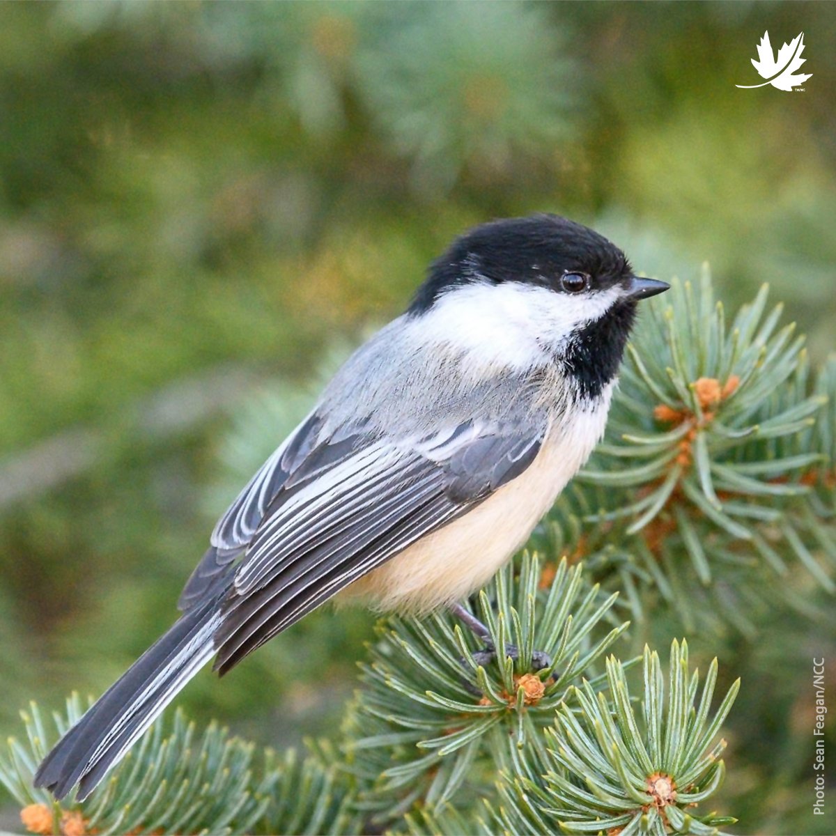 Birding is a great family-friendly activity to get outdoors and appreciate nature! The best part? You do not have to be an expert! ➡️fal.cn/3vXXS 🦆 #GreatBackyardBirdCount