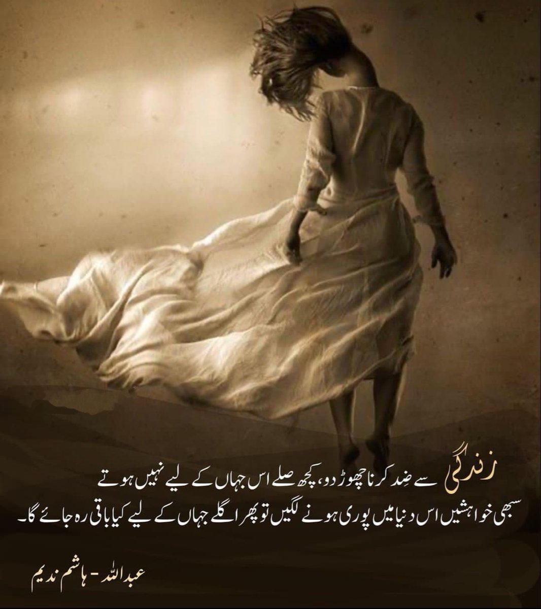 SNQasmi's tweet photo. Both Parts Of Abdullah.., 🤯Antique in its Nature.., 👁️ It's Novelistic...📘 https://t.co/WGGRxpGpHG