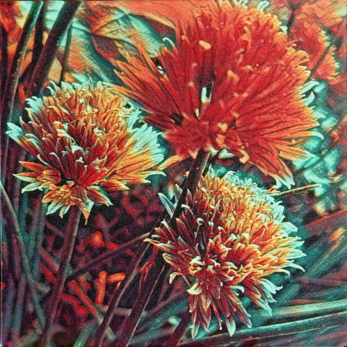 Festival Eclectica tweet media