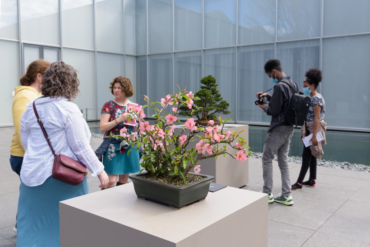 ncartmuseum's tweet photo. Just 4 weeks until Art in Bloom, presented by @pncbank. It's so close we can smell it! Have you made your travel arrangements yet? 

Make your arrangements, learn more, and get your tickets before they're gone at https://t.co/7u54foUCMe.

#NCMAbloom #PNCArtInBloom https://t.co/H8IaQNSaUi