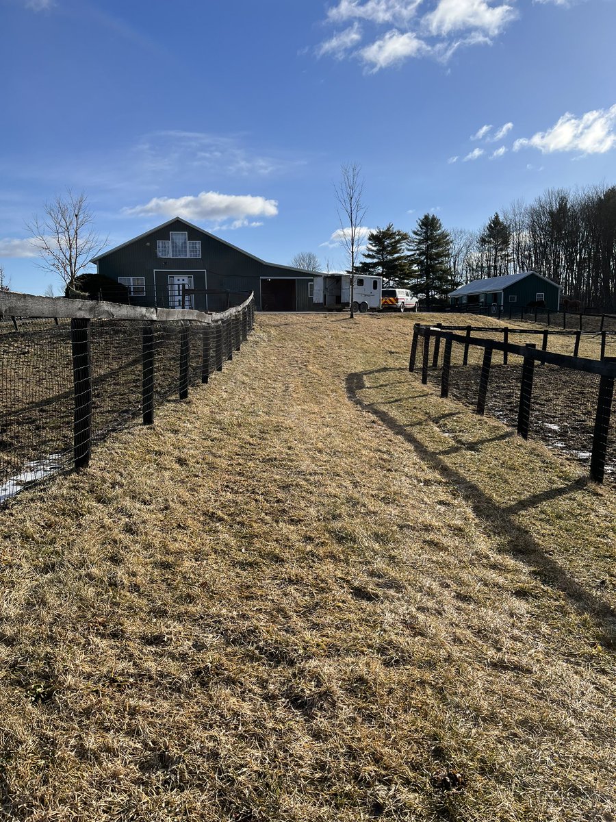 McMahonSaratoga's tweet photo. Bright and breezy Saturday morning appointment for #snappersinclair. @JRBloom3 @IrishHillFarm https://t.co/95QIVmmUcL