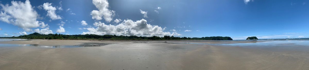 Ravin'🔆Queen Combat tweet media