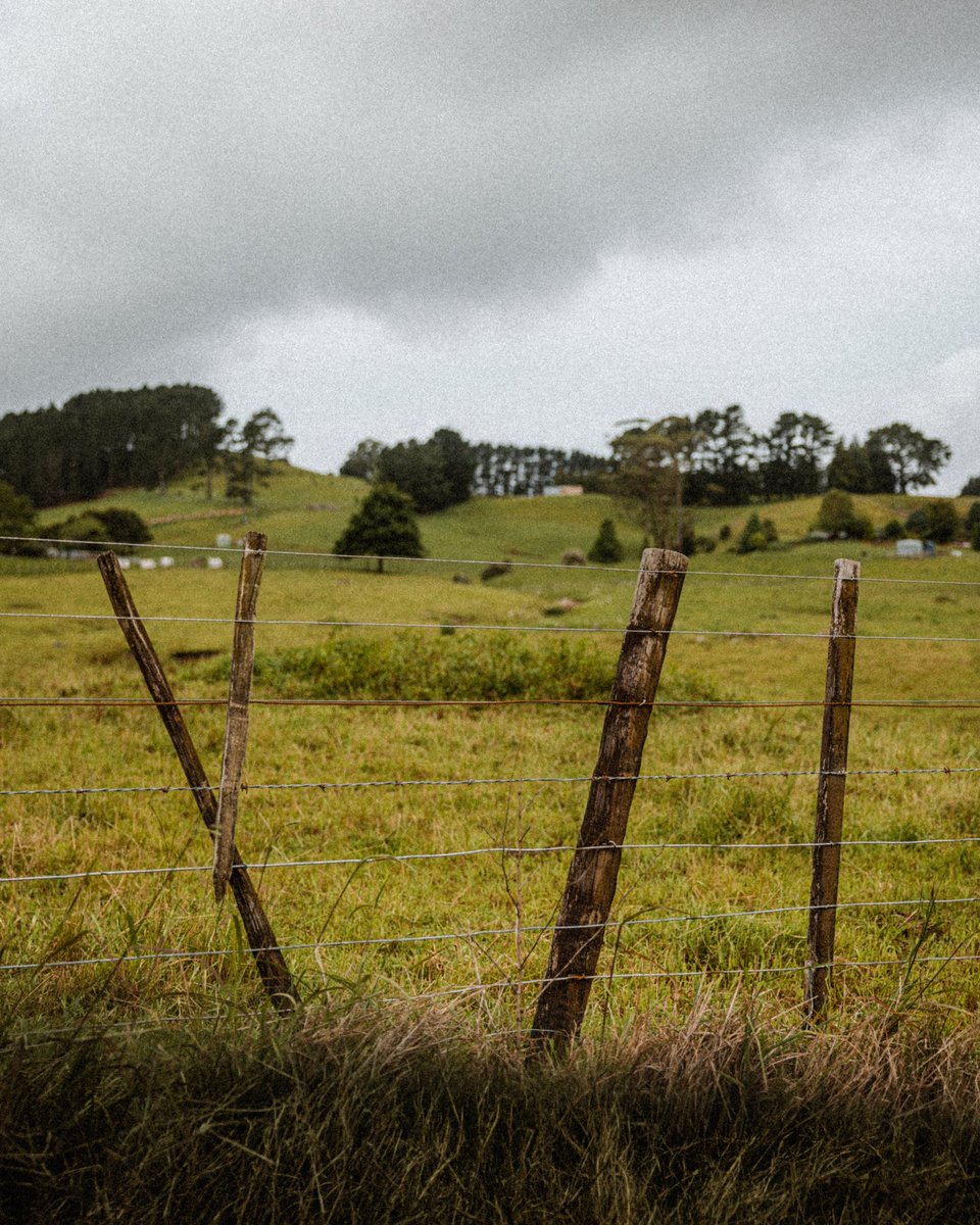 Flavor town 🍃 #NZ