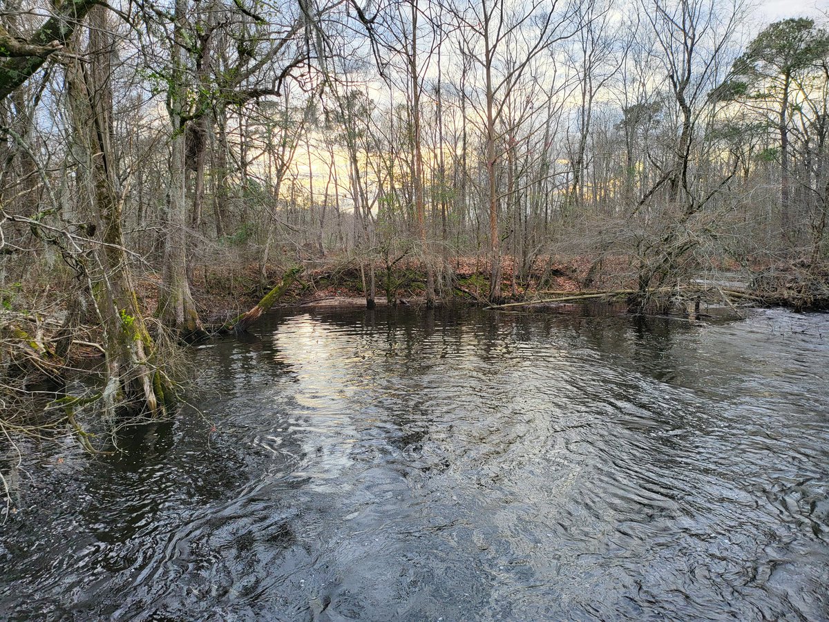 Ciara Jade Dove Lee 🏴‍☠️ on Twitter "The old mill on Sparrow Swamp