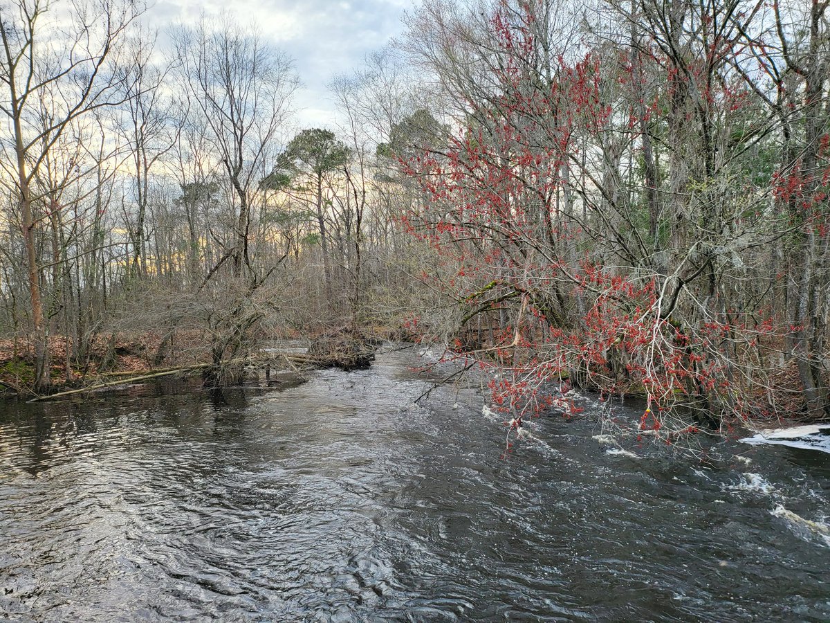 Ciara Jade Dove Lee 🏴‍☠️ on Twitter "The old mill on Sparrow Swamp