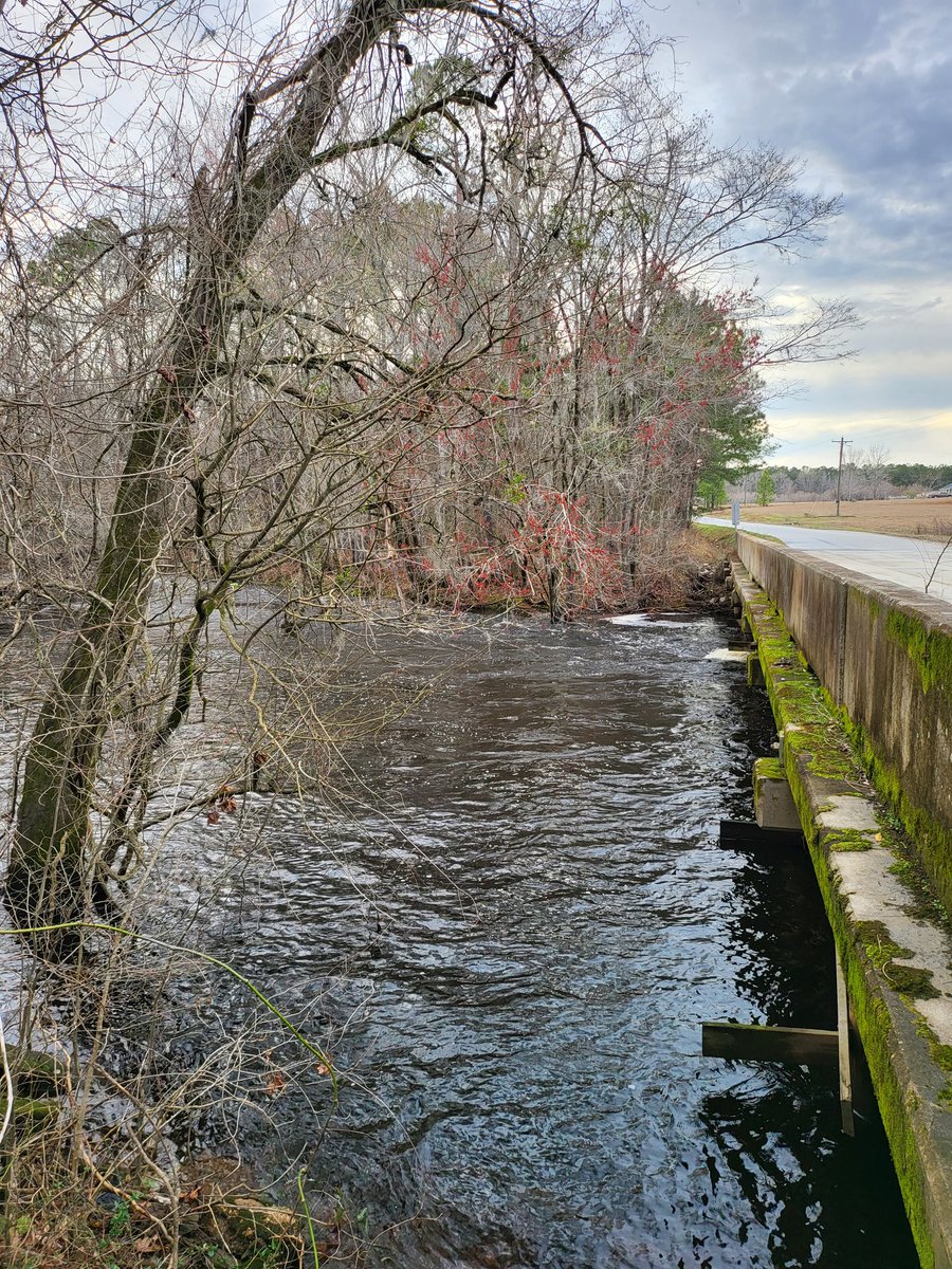 Ciara Jade Dove Lee 🏴‍☠️ on Twitter "The old mill on Sparrow Swamp