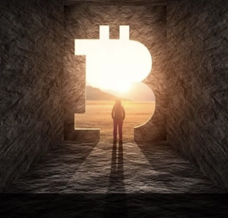 New Bitcoin tweet media
