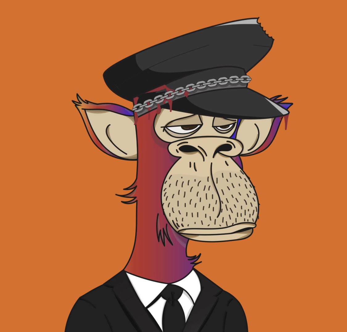 ailurophiles11's tweet photo. Happy to be a part of the @PolygonApeYC community. It’s flying ✈️  🦧  
Honestly, you don't want to miss out on these apes. #PolygonApeYC #LWYS #YATCHY #Crypto #ILovenfts #PAYC #crypto #nfts #NFTCommmunity  #art https://t.co/kZfq6TxR4l