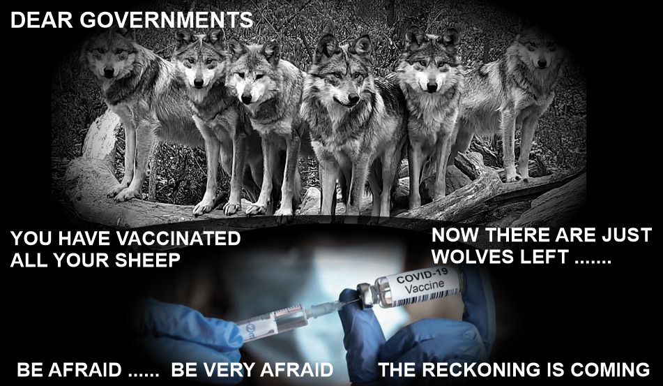 The Bitcoin Rat Himself (one of the good guys) tweet media