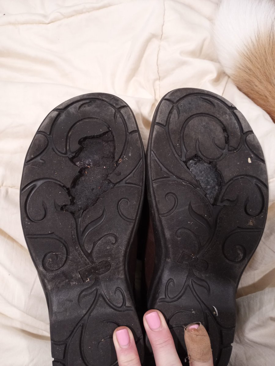 Heather. tweet media