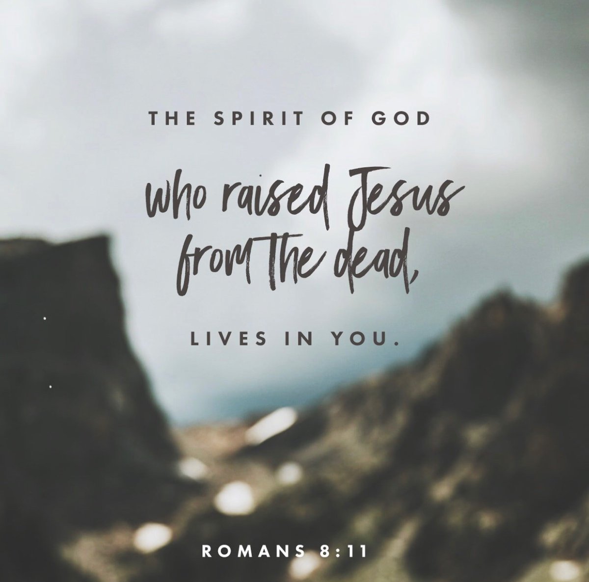 bbbthatsright's tweet photo. An Exercise In Connecting With Our Father and Savior On Sabbath: Finding PEACE #5:

https://t.co/vuZUgsFWuj

#YHWH #Yeshua #Yahweh #Jesus #AnExerciseInConnectingWithOurFatherAndSaviorOnSabbath #FindingPeace5 #Romans8 #Sabbath #LifePeace #Rest #Bible #Shalom #Love #GodIsLove https://t.co/qY8z59jGiO