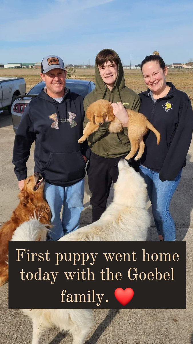 MonticelloRanch's tweet photo. First puppy went home today with the Goebel family. They haven't decided on a name for "Jack Frost" just yet, but I know he'll be loved forever with this wonderful family! 

We still have a couple of these adorable nuggets available and they're ready for their forever homes! https://t.co/7to1M3gDre