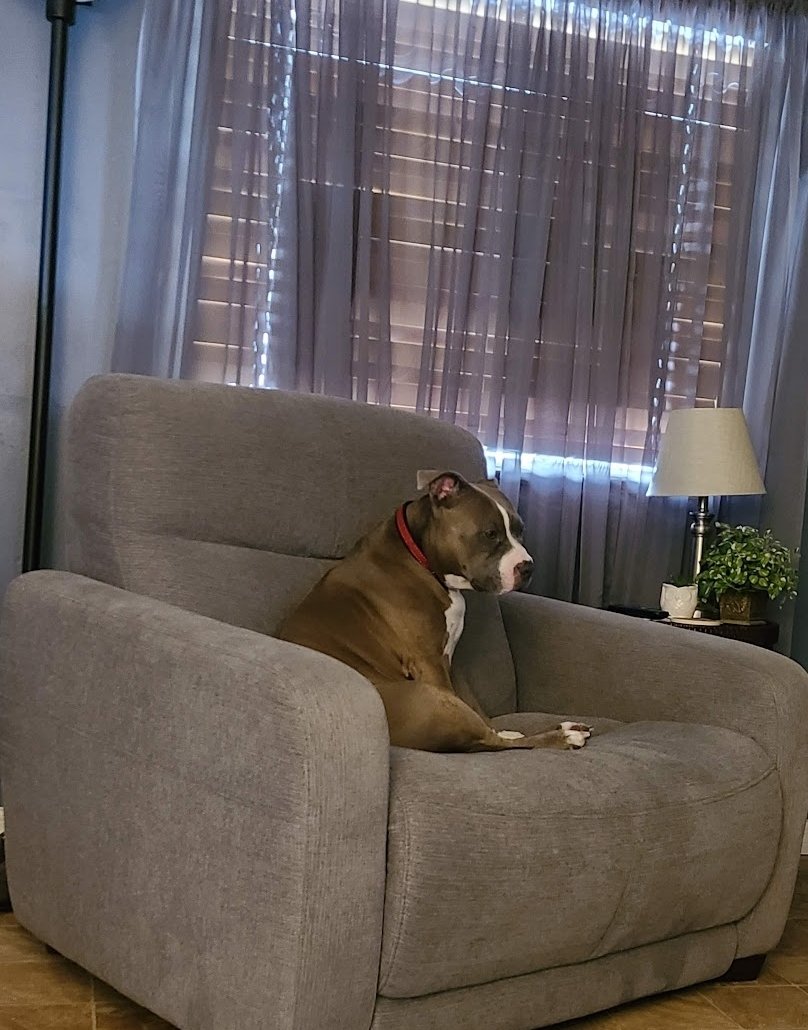 Moaner Lisa🇺🇸🇺🇦🟧🟦💙🇺🇦🌊 tweet media