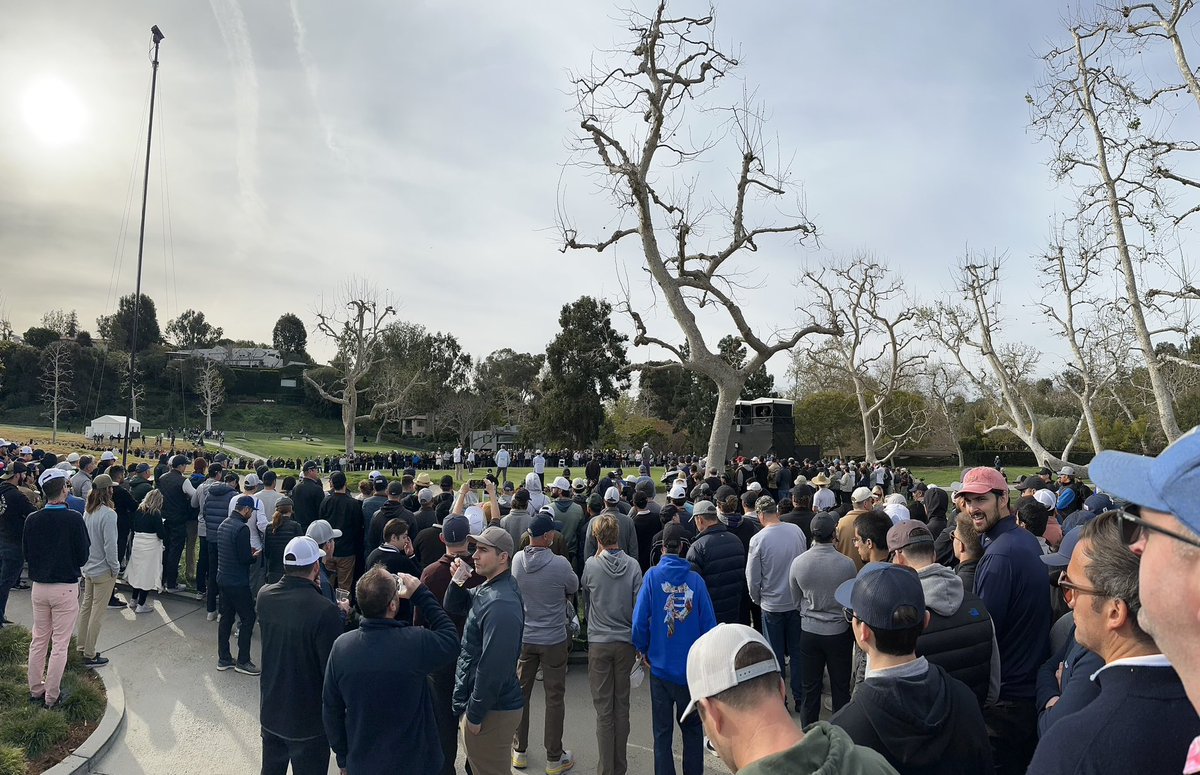 roberto ferrero tweet media