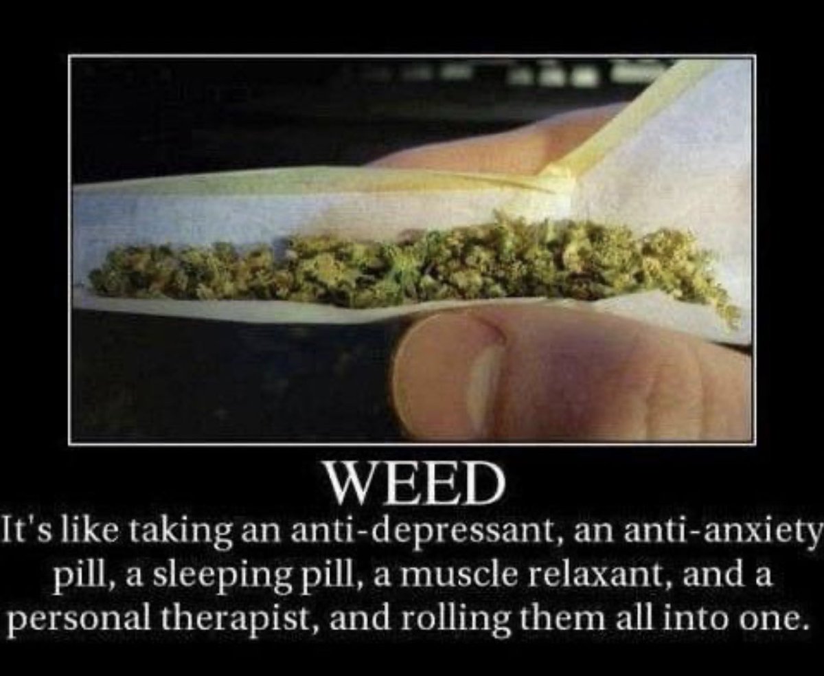 AngelsCannabis's tweet photo. 💯 #Mmemberville #StonerFam #CannabisCommunity https://t.co/TCLtOg0UYb