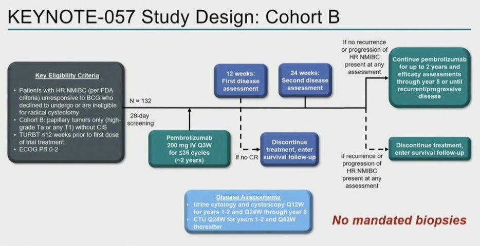 urotoday's tweet photo. Pembrolizumab monotherapy for pts with high-risk #NMIBC unresponsive to BCG: Results from cohort B of the phase 2 #KEYNOTE057 trial. Presented by Michiel Van Der Heijden, MD, PhD @NKI_nl. @ASCO #GU23 written coverage by @WallisCJD @UofT > https://t.co/ZyiuZrDv1X https://t.co/yeCLqz9OZy