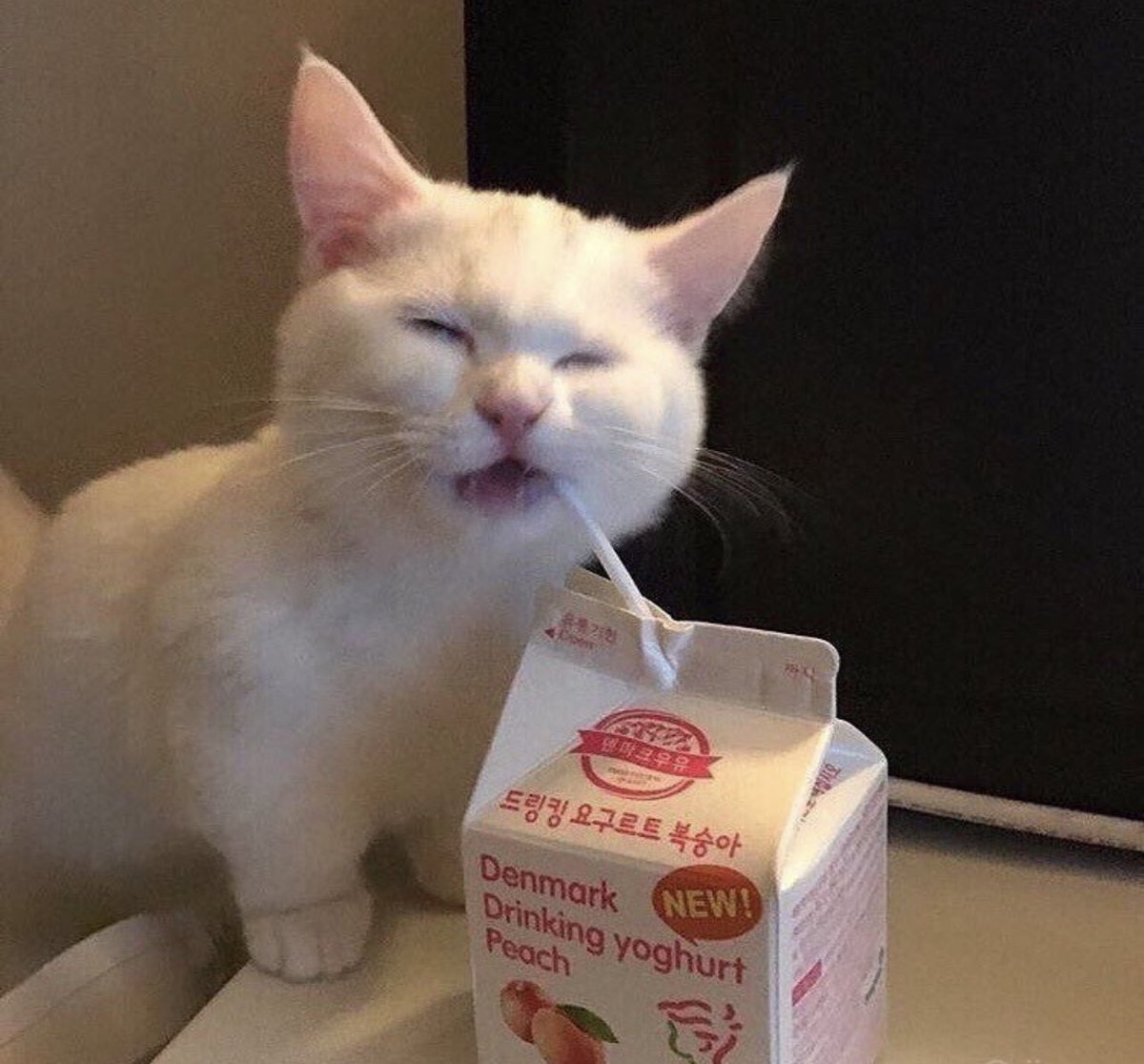 kapebeansies's tweet photo. https://t.co/28KiXhqwrN