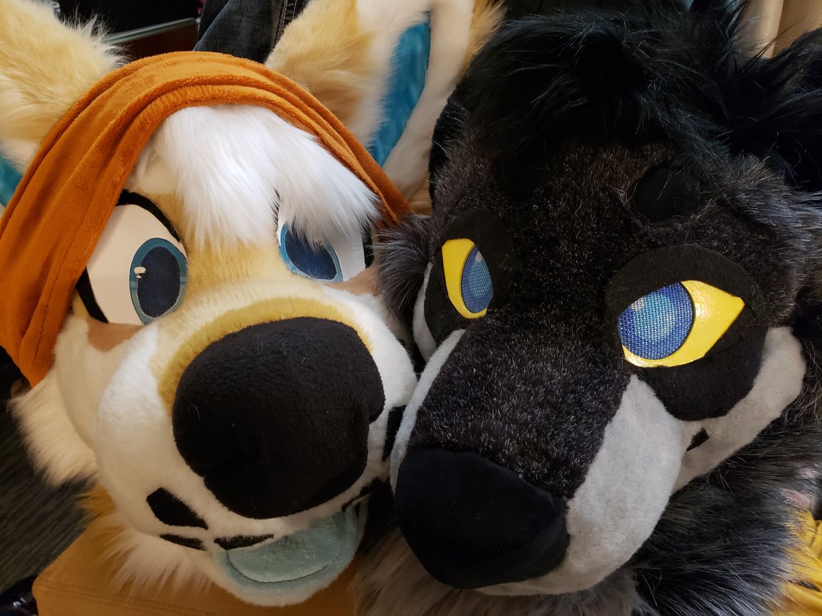 ShibKeebs1's tweet photo. Welcome to my page! You can call me Kenji/Keebs! If your looking for more content check out my Instagram: ShibKeebs !

Suit by: @/covepalms @/salvage.exe &amp; @/42fangz

Gif by: Koyo on insta!

Headshot by: @/NastyBatArt 

#furry #fursuit #FursuitFriday #furryfandom #fursona https://t.co/gzexYR2cYO