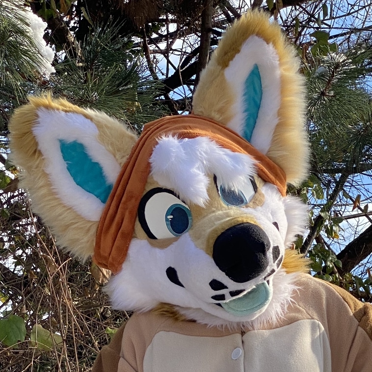 ShibKeebs1's tweet photo. Welcome to my page! You can call me Kenji/Keebs! If your looking for more content check out my Instagram: ShibKeebs !

Suit by: @/covepalms @/salvage.exe &amp; @/42fangz

Gif by: Koyo on insta!

Headshot by: @/NastyBatArt 

#furry #fursuit #FursuitFriday #furryfandom #fursona https://t.co/gzexYR2cYO