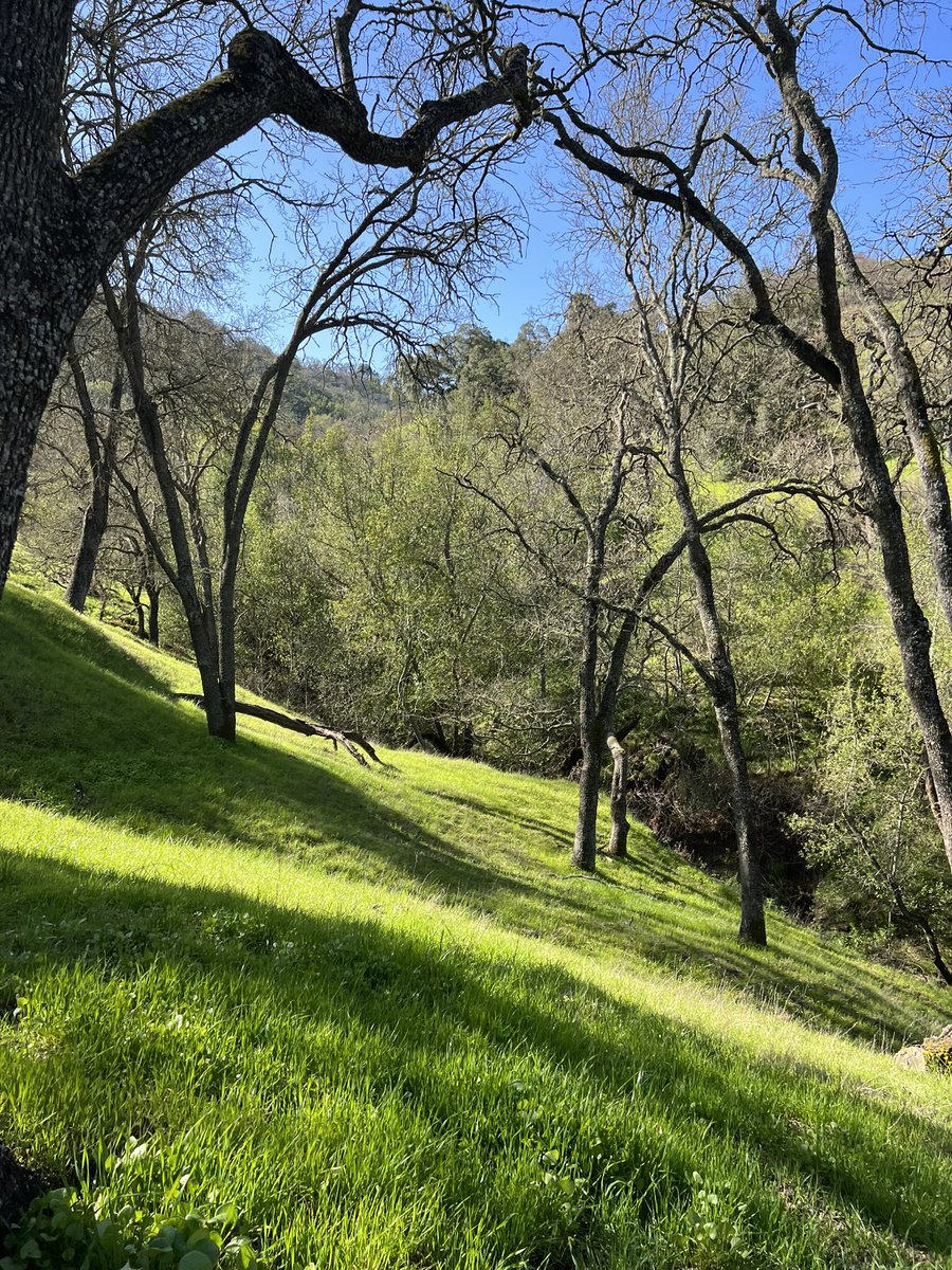amy_oosterhouse's tweet photo. Beautiful weather today for a hike. 4 miles 672 ft elevation at Coyote creek open space preserve. Stopped in Morgan Hill where they were pouring Pliny the younger so a good day 👍🏻 🍺 https://t.co/dSLj9XxdnF