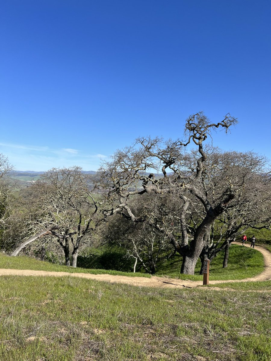 amy_oosterhouse's tweet photo. Beautiful weather today for a hike. 4 miles 672 ft elevation at Coyote creek open space preserve. Stopped in Morgan Hill where they were pouring Pliny the younger so a good day 👍🏻 🍺 https://t.co/dSLj9XxdnF