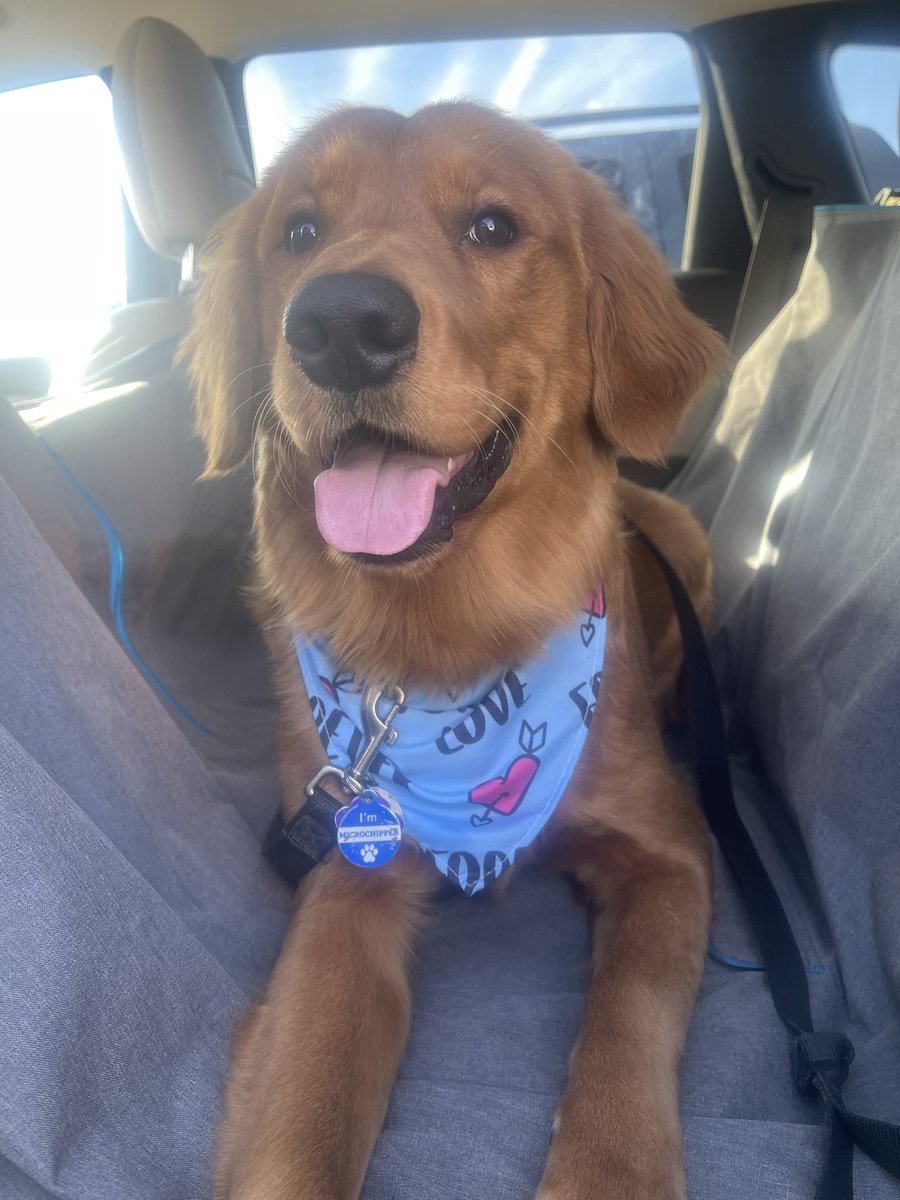 DocScotch's tweet image. Post groom :)