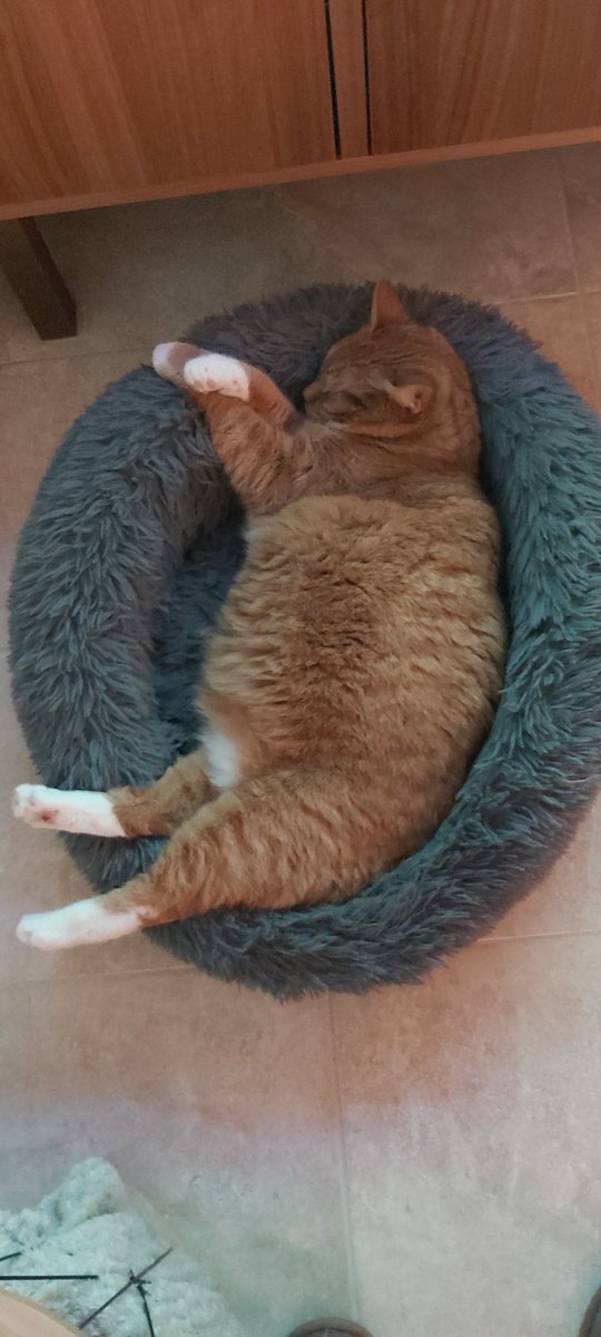 EstherHoogvliet's tweet photo. Ik ben lui. #weekendmodus https://t.co/Xb4tm4b4gW