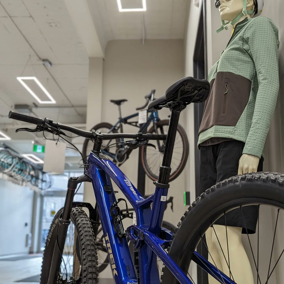 Speed River Bicycle tweet media