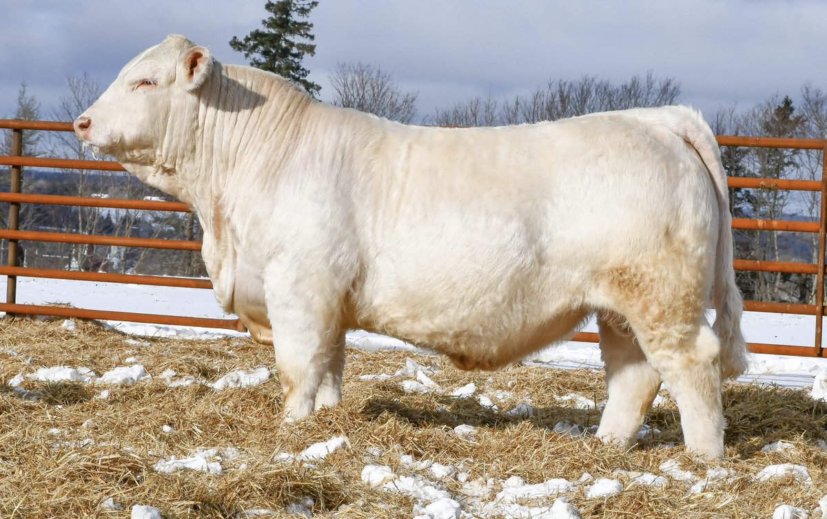 Robert Cooper tweet media