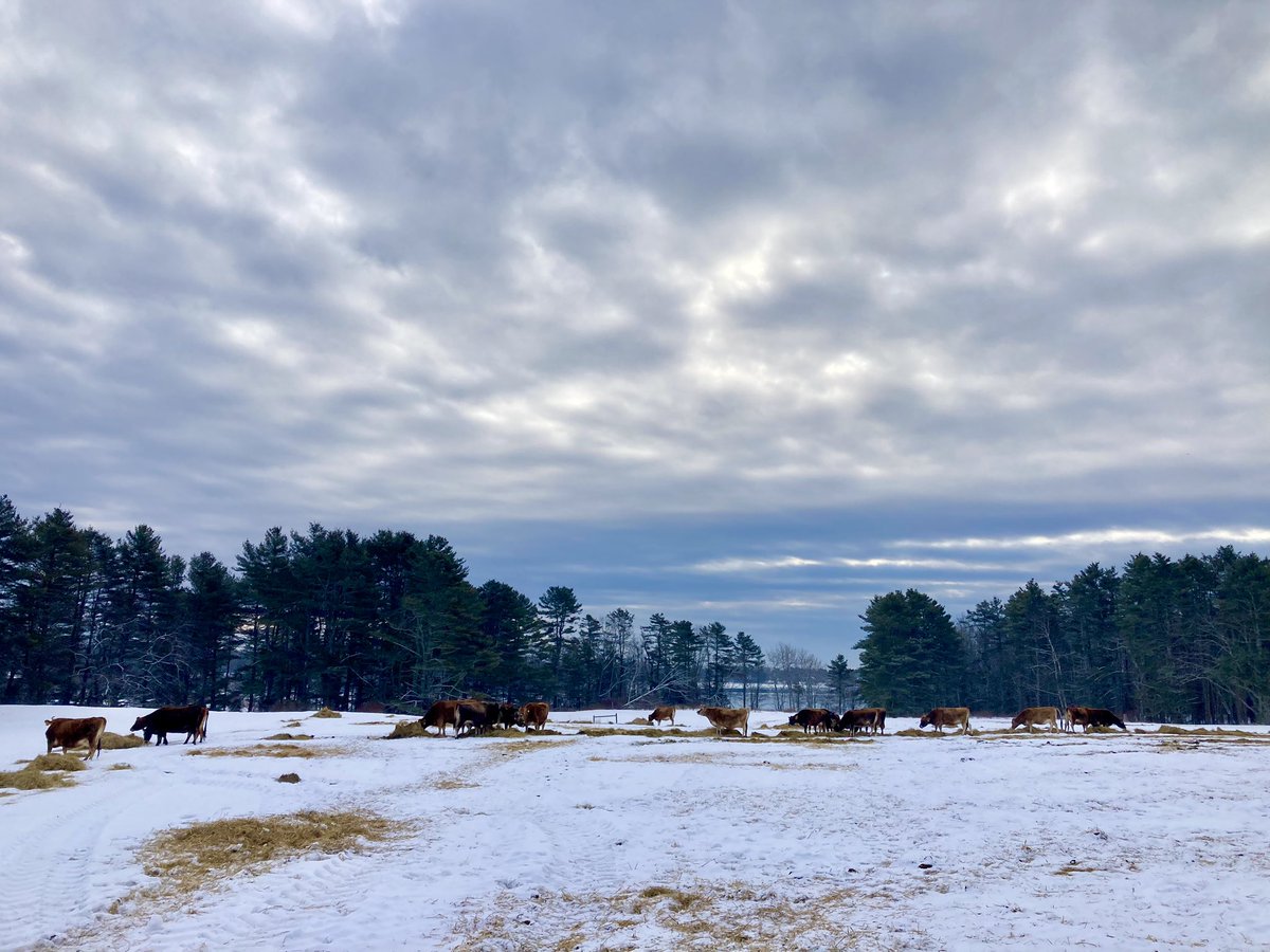 Holt Creek Jerseys tweet media