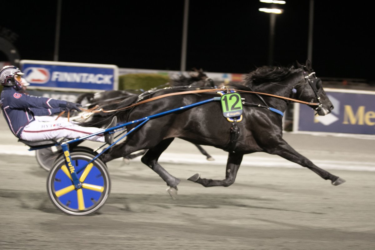 TILBAKE som en vinner! Iggy B.R. var først på målfotoet i kveldens siste løp fra Bjerke Travbane. Et heftig oppløp. ✨🐴 Iggy B.R. er én av ca. 600 hester som har vært til rehabilitering hos Stall Pandora. Se hele reportasjen her: youtu.be/Uu6HKkdeZrc