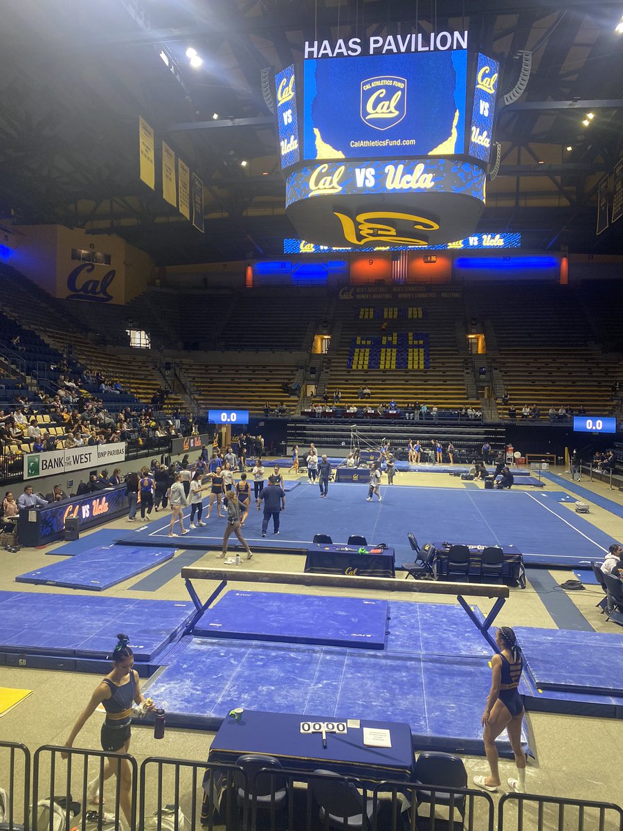 molins_3's tweet photo. #GoBears https://t.co/qslXTOx0cS