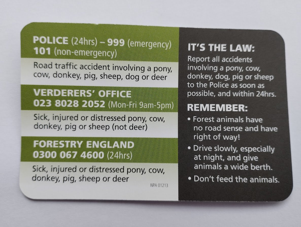 NFRoadsAwareness tweet media