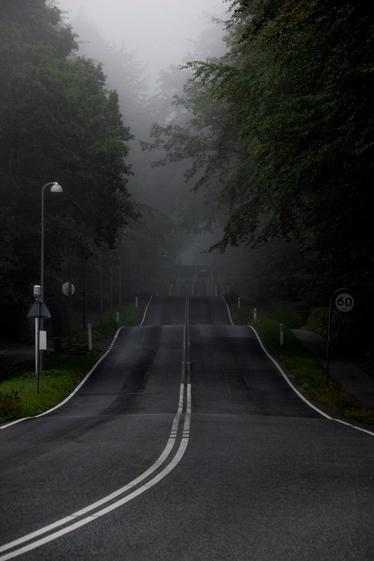 gIoomyweather's tweet photo. run away with me. https://t.co/CHEGGAO8Ow