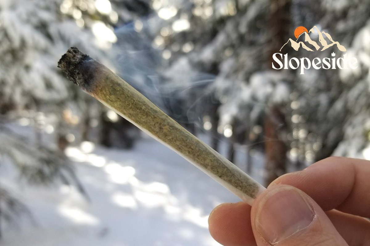 SlopeSidePreRol's tweet photo. Saturday in @snowmassbasevillage getting a lift!
.
#snowboarding #skiingcolorado #skireport #snowmass #snowmassvillage #slopesidepreroll #slopeside https://t.co/JoMhrPZdNP