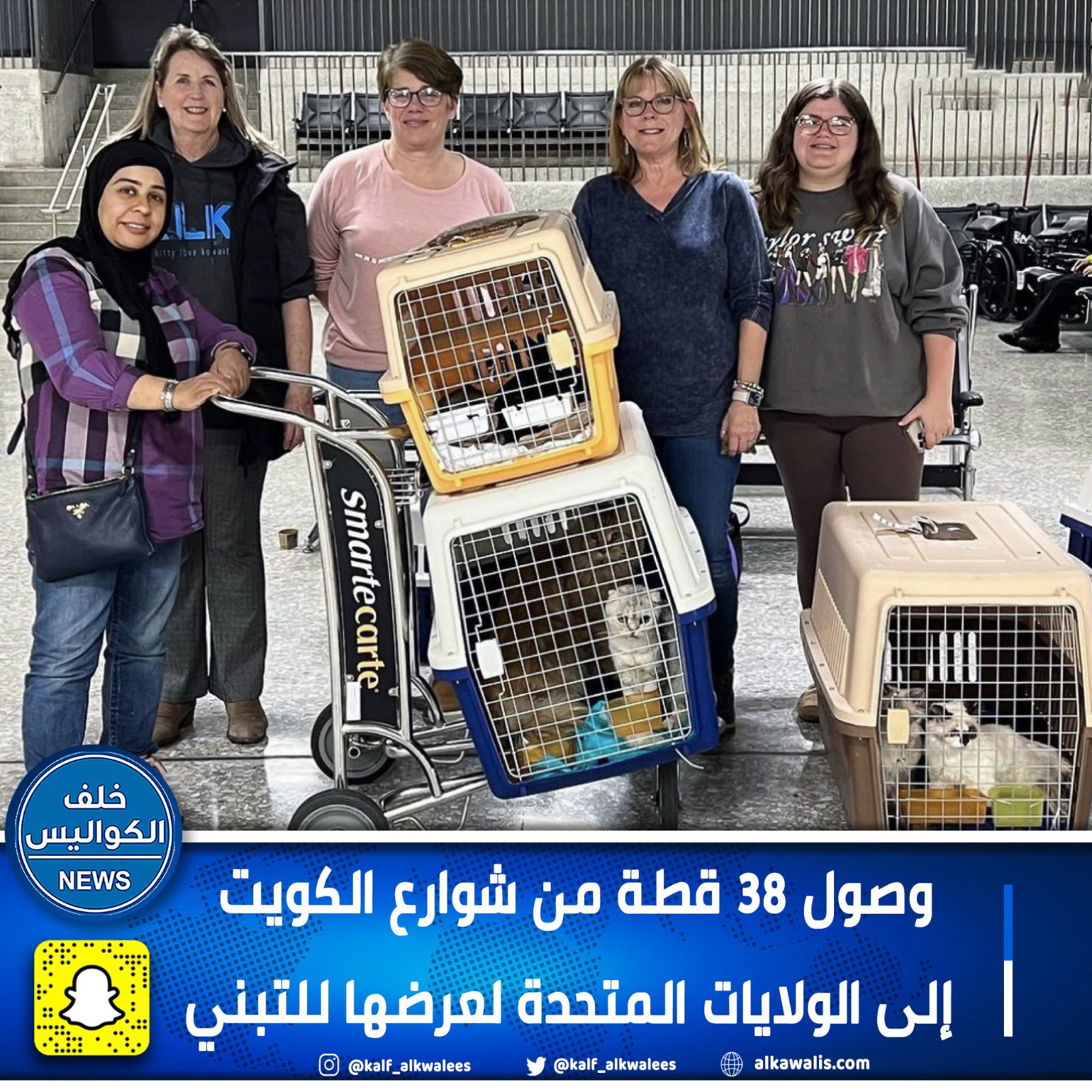 شحنة من القطط تصل مطار واشنطن دالاس الدولي في الولايات المتحدة الأمريكية بعد إنقاذها من شوارع الكويت. تم استقبال 38 قطة من أصل 89 كانت تعيش بظروف