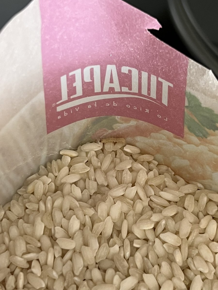 Hola! <a href="/TucapelResponde/">Arroz Tucapel </a> me salió un paquete de arroz con hartos gusanitos blancos. Qué puedo hacer para obtener otro paquete que sí pueda consumir? Adjunto prueba de uno de los gusanitos.