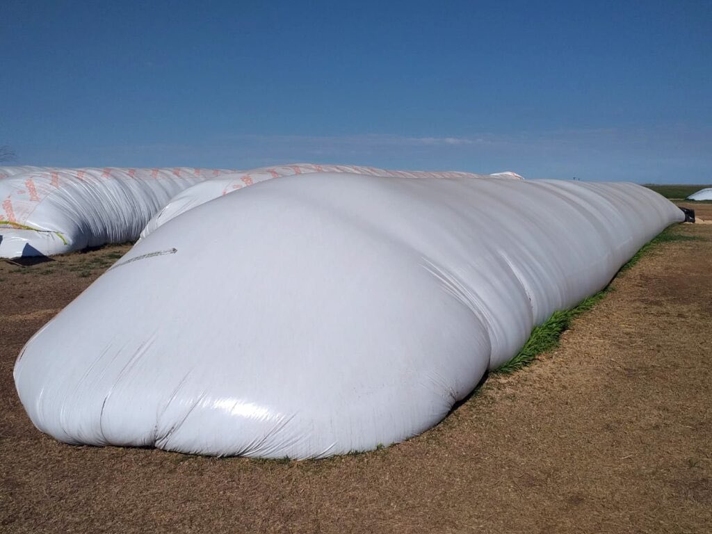 Se vende silo de Sorgo !!! Agradezco compartir!